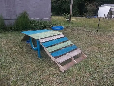 15 DIY Dog Playgrounds You Can Build at Home (With Pictures) | Doggie Designer Goat Platform, Pallet Playground, Dog Agility Course Diy, Puppy Playground, Dog Play Area, Stained Plywood, Dog Friendly Backyard, Dog Backyard, Dog Agility Course