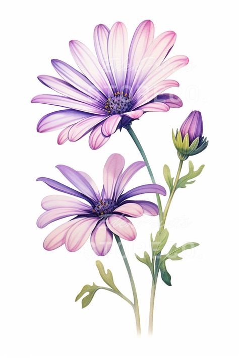 Flowers To Paint Watercolor, Digital Flowers Png, Color Flower Drawing, Botanical Flower Bunch, Osteospermum Flowers, Digital Flowers Design, Different Kinds Of Flowers, Flower Bunch, Fabric Paint Designs