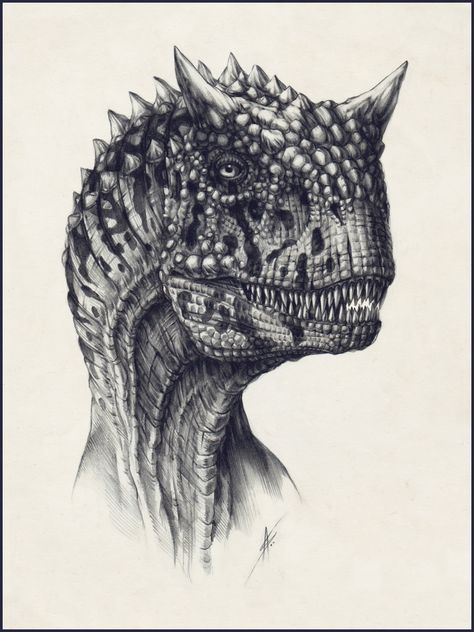 Carnotaurus Tattoo, Dinosaur Images, Dinosaur Drawing, Dinosaur Pictures, Jurassic World Dinosaurs, Ark Survival Evolved, Ancient Animals, Paper Pencil, Paleo Art