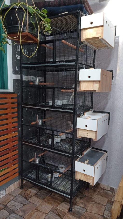 Bird Breeding Cages, Aviary Mini, Bird Cage Ideas, Painted Bathroom Floors, Diy Bird Cage, Birds Cage, Bird Cage Design, Pet Bird Cage, Bird Houses Ideas Diy