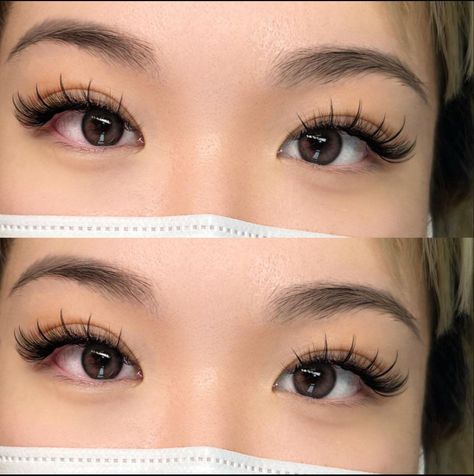 Korean Eyelashes, Asian Lashes Extensions, Lashes For Asian Eyes, Cute Eyelash Extensions, Lashes On Asian Eyes, Wide Set Eye Lashes, Manhwa Lashes Extension, Asian Lash Extensions Styles, Lash Extensions Styles Asian Eyes