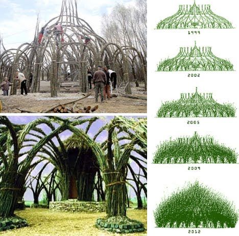 Organic sculpture  http://temporaryreality.blogspot.com/2010/07/tree-sculptures-and-living-buildings.html Willow Architecture, Arboreal Architecture, Elven Architecture, Pictures Of Trees, Living Architecture, Living Willow, Natural Architecture, Bilik Idaman, Small Landscape