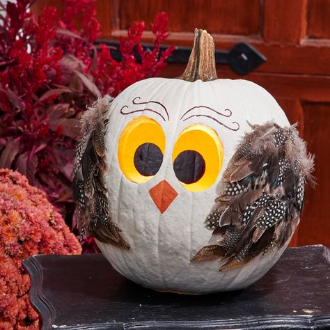 This adorable owl pumpkin will brings smiles to your friends and family. See details on how to make him in our story (plus lots more pumpkin ideas!). Creative Pumpkin Decorating, Owl Pumpkin, Easy Fall Crafts, Creative Pumpkins, Pumpkin Carving Templates, Pumpkin Painting, Mini Pumpkins, Fall Decorating, White Pumpkins