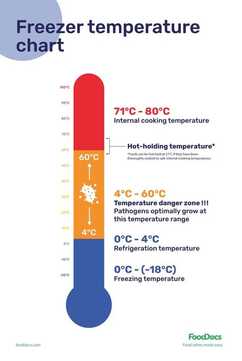 Freezer Temperature Chart | Download Free Poster Food Safety Posters, Food Safety And Sanitation, Food Safety Training, Food Engineering, Culinary Lessons, Food Safety Tips, Temperature Chart, Kitchen Safety, Culinary Techniques