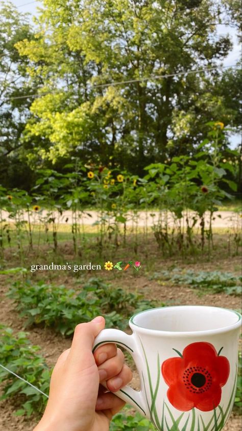 Garden Ig Story, Front Yard Flower Bed, Front Yard Ideas, Lawn Ideas, Garden Goals, Nature Story, Garden Magic, Garden Inspo, Farm Lifestyle