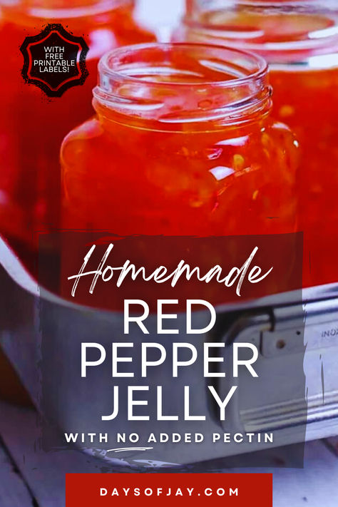 Jars of homemade red pepper jelly. Homemade Red Pepper Jelly, Red Pepper Chutney, Christmas Pepper Jelly, Red Pepper Jelly Recipe Canning, Pepper Jelly Recipe No Pectin, Sweet Red Pepper Jelly Recipe, Dr Pepper Jelly Recipe, Red Pepper Jelly Recipe, Pepper Jelly Recipe