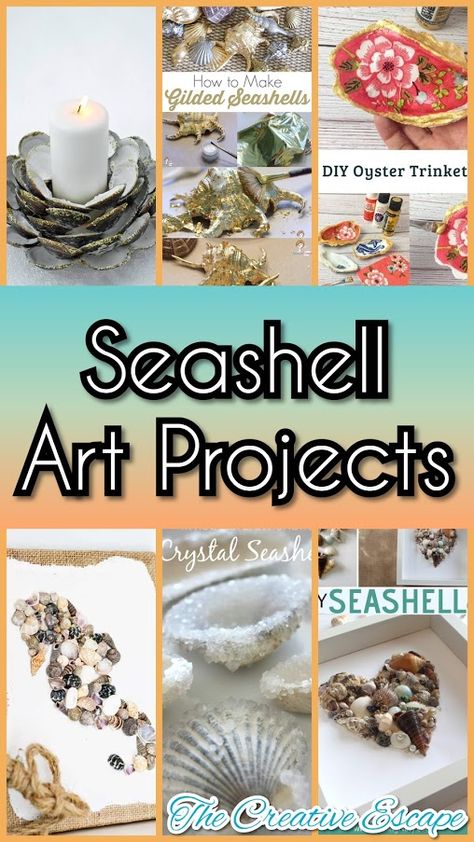 Art Projects With Shells, Craft Shells Ideas, Creative Things To Do With Seashells, Crafting With Seashells, Seashell Home Decor Diy, Art With Seashells Diy Ideas, Crafts With Large Seashells, What To Do With Sea Shells Ideas, What To Do With Shells From The Beach Diy Ideas