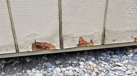 Damaged vertical siding? Here's what you can do about it! (And you won't have to replace all the siding) #homeimprovement #diy Diy Siding Exterior Cheap, Diy Siding, T111 Siding, T1 11 Siding, Vertical Wood Siding, Wood Panel Siding, Siding Repair, Replacing Siding, Plywood Siding