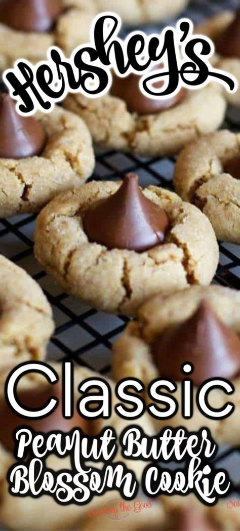 Peanut Butter Kiss Cookies Recipe, Kiss Cookie, Kiss Cookie Recipe, Peanut Butter Blossoms Recipe, Chocolate Kiss Cookies, Hershey Kiss Cookies, Peanut Butter Kiss, Peanut Butter Blossom, Peanut Butter Kiss Cookies