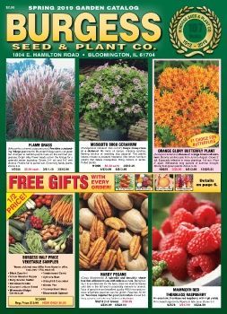 Heirloom Seeds Catalog, Growing Vegetables In Pots, Nursery Plants, Landscaping Backyard, Garden Catalogs, Yard And Garden, Free Catalogs, Plant Catalogs, Gift Catalog