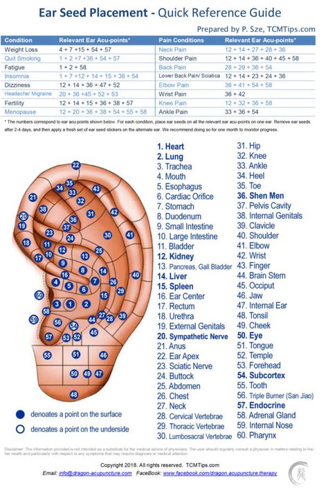 Get FREE Ear Seed Placement Cheat Sheet  * 60 essential auricular points * Placement for 16 common conditions * Condensed… Eat Seed Placement, Ear Acupuncture Chart, Ear Seeds Placement Chart, Ear Seed Placement, Auricular Acupuncture, Ear Acupressure Points, Ear Acupressure, Ušný Piercing, Ear Reflexology