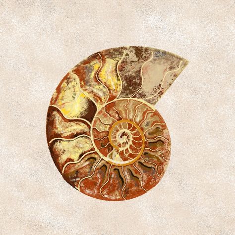 Prehistoric Aesthetic, Fossils Aesthetic, Fossil Painting, Fossil Tattoo, Ammonite Illustration, Fossil Illustration, Trilobite Tattoo Fossil, Ammonite Fossil Drawing, Tattoo Training