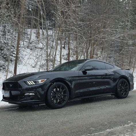 2016 5.0 Love... Mustang GT Premium, Blacked Out Edition. COYOTE POWERED!!! Black Mustang Gt, 2016 Mustang Gt, 2016 Mustang, Mustang Gt Premium, Black Mustang, Small Luxury Cars, Ford Mustang Ecoboost, New Mustang, Mustang Ecoboost