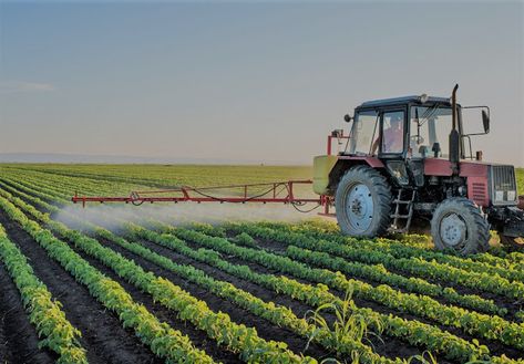 Agriculture: About Intensive Farming and Extensive Farming. Agriculture Business Plan, Agriculture Business, Business Plan Template Free, Organic Pesticide, Livestock Farming, Farm Business, Soil Health, Career Opportunities, Bratislava