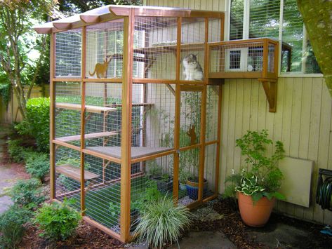 Incredible Catios by Catio Spaces in Seattle Catio Plans, Katt Diy, Diy Cat Enclosure, Katt Grejer, Kat Diy, Cats Outside, Cat Patio, Diy Cat Tree, Outdoor Cat Enclosure