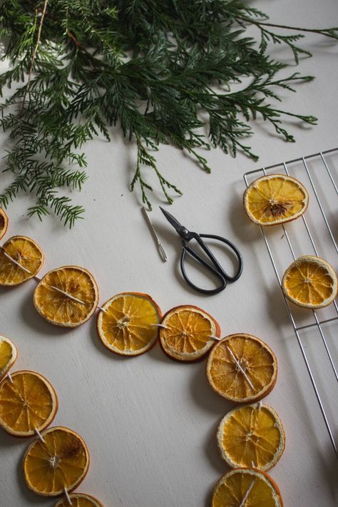 Diy Dehydrator, Orange Garland Diy, Orange Christmas Tree, Holiday Garland, Garland Diy, I Want To Live, Orange Christmas, Christmas Tablescape, Dried Oranges