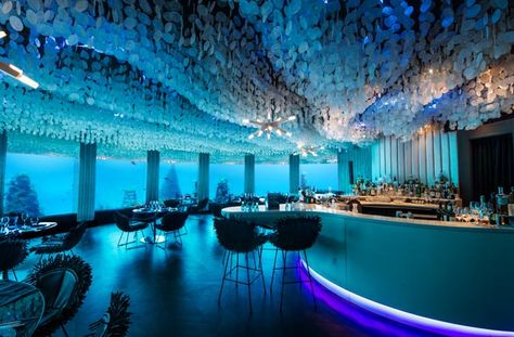 Subsix underwater nightclub, Maldives Hotels In Bali, Beautiful Coastline, Underwater Hotel, Underwater Restaurant, Hotel Ideas, Blue Lights, Nature Architecture, The Ceiling, Travel And Leisure