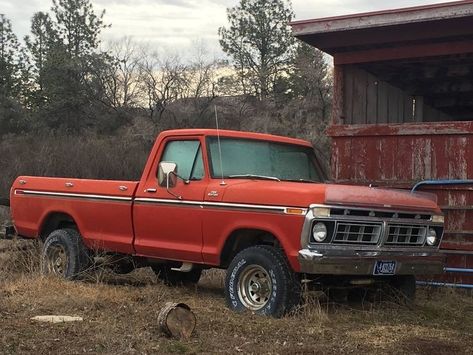 Old Ford Pickup Truck, Old Ford Pickups, 1979 Ford Truck, Vintage Vw Bus, Vintage Pickup Trucks, Classic Ford Trucks, Old Ford Trucks, Old Pickup Trucks, Classic Pickup Trucks