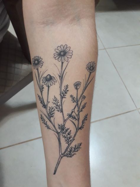 Chamomile Plant Tattoo, Camomile Flower Tattoo, Camomile Tattoo, Chamomile Tattoo, Wrap Tattoo, Wonderland Tattoo, Sharpie Tattoos, Daisy Tattoo, Plant Tattoo