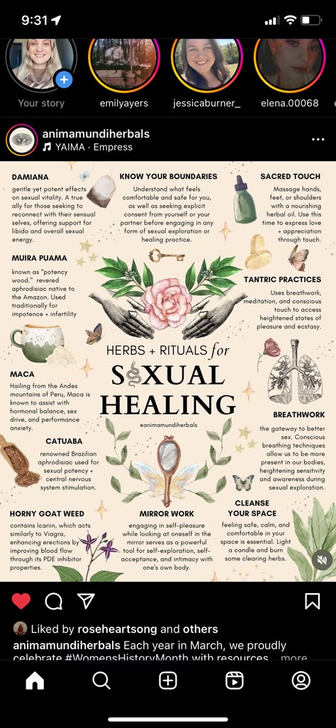 Herbs For Womb, Feminine Herbs, Essential Oil Aphrodisiac, Aphrodisiac Foods, Womb Healing, Magic Herbs, Feminine Health, Herbal Healing, Herbal Magic