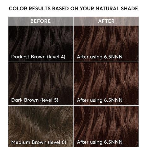 Novara Light Brown Hair Dye | Light Brown Hair Color for Full Gray Coverage Medium Neutral Brown Hair, Neutral Brown Hair, Medium Brown Hair Dye, Hair Color Gloss, Rich Brown Hair Color, Light Brown Hair Dye, Madison Reed Hair Color, Dark Brown Hair Dye, Medium Brown Hair Color