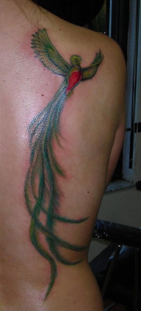 Guatemala Bird Tattoo, Quetzal Tattoo Guatemalan, Guatemalan Tattoo, Guatemala Tattoo, Quetzal Tattoo, Resplendent Quetzal, Bird Wings, Time Tattoos, Ink Stain