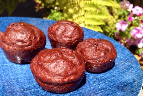 Hmr Recipes Phase 1, Mini Muffin Desserts, Hmr Recipes, Raspberry Fudge, Chocolate Protein Muffins, Carob Chips, In My Purse, Protein Muffins, My Purse