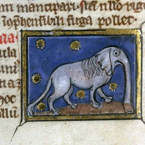 How Medieval Artists Painted Elephants (They Had Apparently Never Seen an Elephant) Medieval Reactions, Painted Elephants, Funny Medieval, Medieval Drawings, Medieval Artwork, Illustrated Manuscript, Woodcut Art, Medieval Paintings, Elephant Drawing