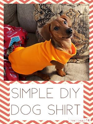 Diy Tiny Dog Clothes, Tshirt For Dogs Diy, Diy Dog Shirt From Tshirt, Dog Surgery Shirt Diy, Dog Spay Recovery Shirt Diy, Spayed Dog Recovery Shirt Diy, Dog Shirt Pattern Free, Dog Spay Recovery, Sew Dog Clothes