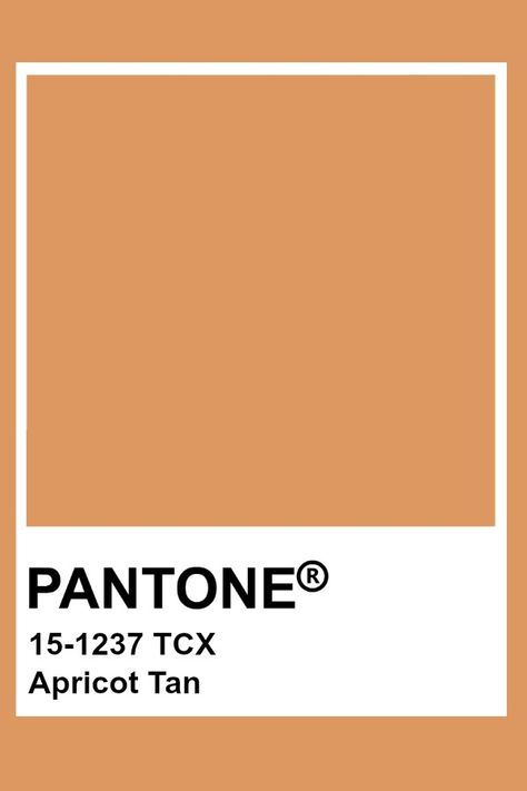 Pantone Apricot Tan Tan Pantone Color, Deep Apricot Color, Orange Pantone Colour Palettes, Apricot Pantone, Tan Pantone, Orange Pantone, Apricot Colour, Brown Pantone, Pantone Tcx