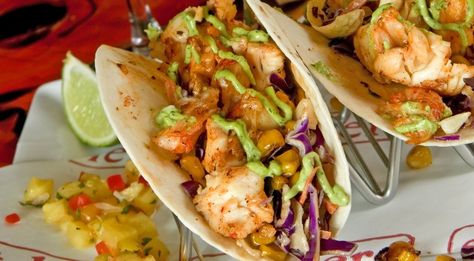 Lobster Tacos Woods Hole Massachusetts, Holmes Beach Florida, How To Make Lobster, Lobster Tacos, Fried Lobster, Holmes Beach, How To Cook Lobster, Lobster Recipes, Sea Food