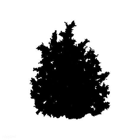 Bush silhouette on white background | free image by rawpixel.com / sasi Bush Silhouette, Bushes Png, Bush Vector, Plants Silhouette, Photoshop Black And White, Bush Drawing, Hibiscus Shrub, Grass Silhouette, Drawing Tree