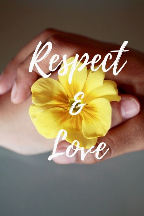 Love and Respect imagery
Photo by Luisella Planeta Leoni from Pixabay Love And Respect Quotes, What Is Respect, Respect Images, Wishes Board, Different Kinds Of Love, Fearfully Wonderfully Made, Respect Quotes, Pisces Love, Respect People