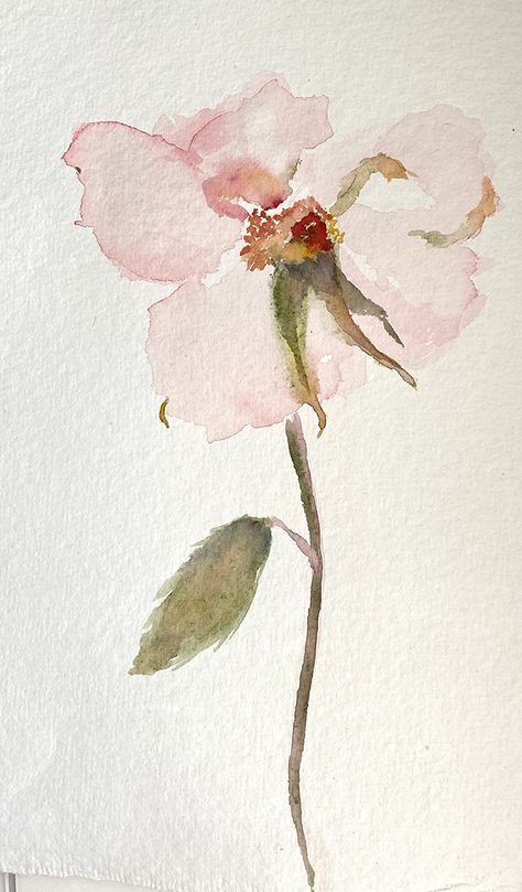 Faden Flowers Collection Pink Rose by Kim Hauck, Watercolor, 11 x 7.5 Roses Art, Watercolor Flower Art, Watercolor Art Lessons, Arte Inspo, Watercolor Inspiration, Watercolor Rose, Watercolor Cards, Watercolor Floral, Pretty Art