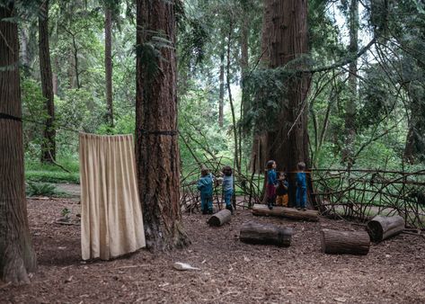 Outdoor Preschool, Forest Classroom, Forest Kindergarten, Los Padres National Forest, Forest School Activities, Play Garden, Nature School, Kids Outdoor Play, Natural Playground