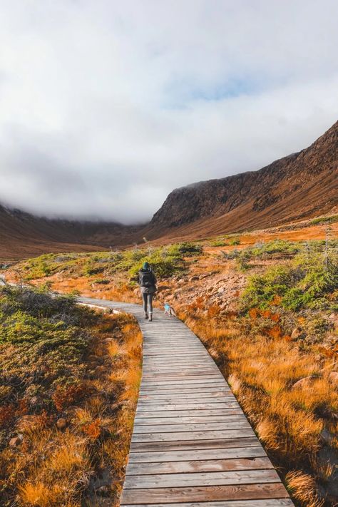 New Foundland Canada, Newfoundland Canada Aesthetic, Newfoundland And Labrador Travel, Newfoundland Aesthetic, Hiking Canada, Gros Morne National Park, Newfoundland Travel, Impossible Pie, Gros Morne