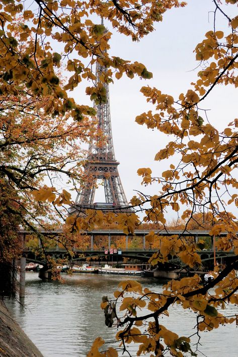 Paris In The Fall Aesthetic, Paris In Fall Aesthetic, Paris Fall Aesthetic, Eiffel Tower Fall, Paris Autumn Aesthetic, Fall Fashion College, Autumn In Europe, Fashion Trends Aesthetic, Fall Travel Destinations