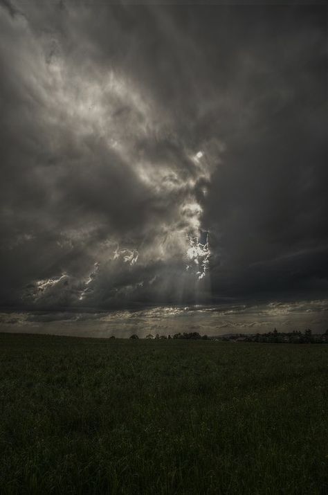 Stormy Day Aesthetic, Gloomy Weather Aesthetic, Gloomy Vibes, Rainy Skies, Grey Weather, Farm Painting, Poison Tree, Dark Weather, Rainy Sky