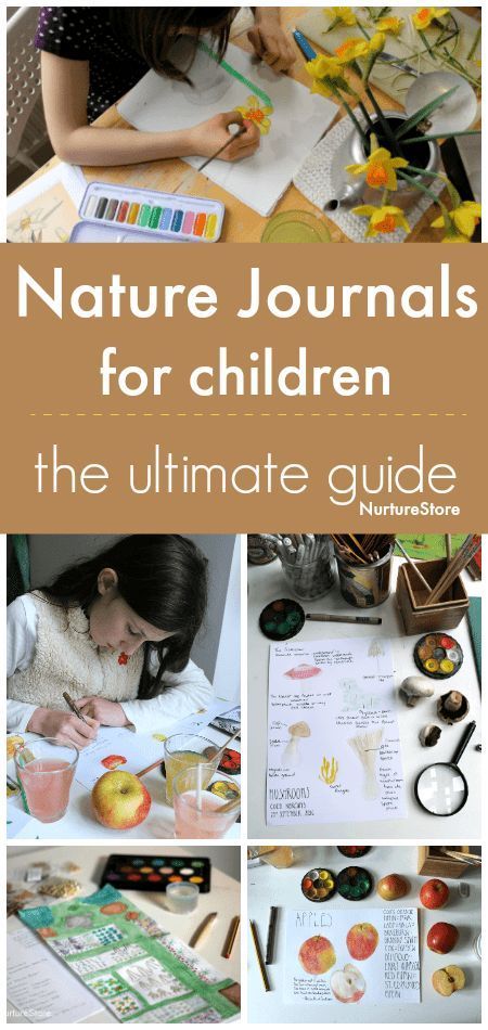 Nature Based Learning, Nature Journals, Homeschool Nature Study, Diy Nature, Nature Education, Nature School, Forest School, Outdoor Learning, Homeschool Science