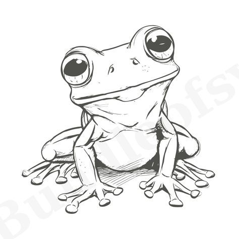 Tree Frog Tattoos, Frog Png, Frog Svg, Frog Sketch, Hipster Drawings, Frog Tattoo, Baby Frog, Bottle Drawing, Frog Illustration