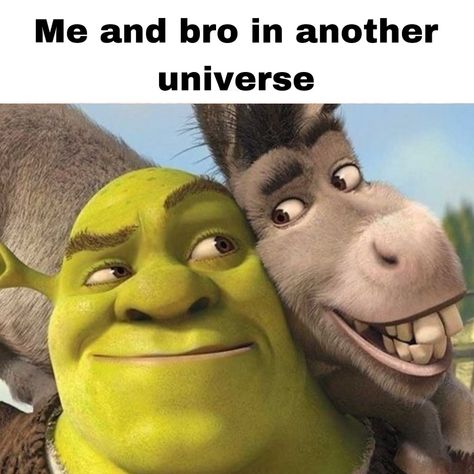 ₍ ᐢ.ˬ.ᐢ₎˚୨୧ tag your 4lifer - - ₊˚ପ⊹ - 🏷️ #explore #foryou #aesthetic #duo #besties #4lifers Donkey Memes Funny, Shrek And Donkey Matching Pfp, Donkey Aesthetic, Shrek And Donkey, Donkey Funny, Shrek Donkey, Digital Marketing Manager, Animal Humour, Epic Quotes