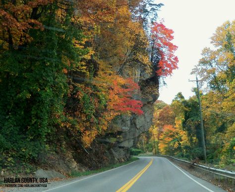 Hanging Rock on Pine Mountain in Harlan County by Mary Lewis Kentucky Aesthetic, Kentucky Mountains, Hometown Aesthetic, Harlan Kentucky, London Ky, Harlan County, Mammoth Cave National Park, Hanging Rock, Eastern Kentucky