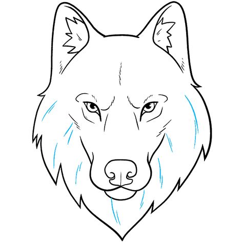 Wolf Head and Face step-by-step drawing tutorial: step 11 Wolf Head Drawing, Wolf Face Drawing, Wolf Drawing Easy, Wolf Outline, Simple Face Drawing, Zoo Animal Coloring Pages, Cartoon Wolf, Wolf Colors, Face Outline