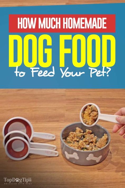 Diy Dog Food, Make Dog Food, Dog Treats Homemade Recipes, Raw Dog Food Recipes, Healthy Dog Food Recipes, Food Out, Puppy Food, Dog Recipes, Dog Treat Recipes