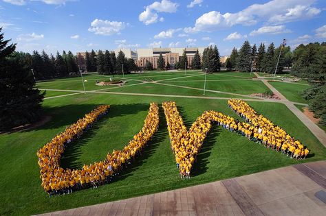 Vision Board Themes, University Of Wyoming, School Songs, Social Environment, Class Of 2016, College Town, American Universities, College Campus, College Fun