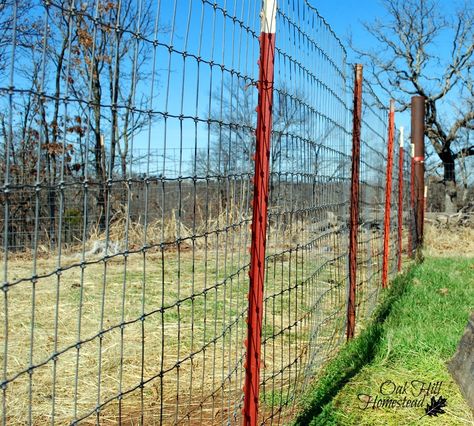 Sheep and goat fencing Goat Fencing, Fences Design, Types Of Fencing, Sheep Fence, Goat Fence, Goat Playground, Livestock Fence, Goat Shelter, Goat Pen