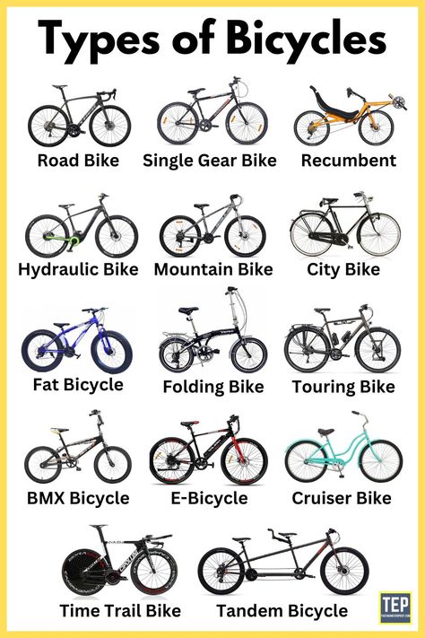 Cycles | Types of Cycles | Different Types of Cycles | Road Bike | Single Gear Cycle | Recumbent Cycle | Mountain Bike | City Bike | Folding Cycle | Touring Bike | Electric Bike | Cruiser Bike | Time Trail Bike | Tandem Bicycle Parts Of A Bicycle, One Wheel Bike, Bicycle Reference, Single Gear Bike, Fixie Wheels, Race Bike Cycling, Adventure Bicycle, Bike Types, Types Of Bicycles