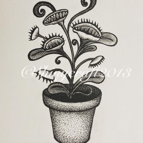 Venus Fly Trap Illustration, Fly Trap Drawing, Fly Trap Tattoo, Venus Fly Trap Tattoo, Trap Drawing, Trap Tattoo, Tattoo Dainty, Venus Flytrap, Bug Tattoo