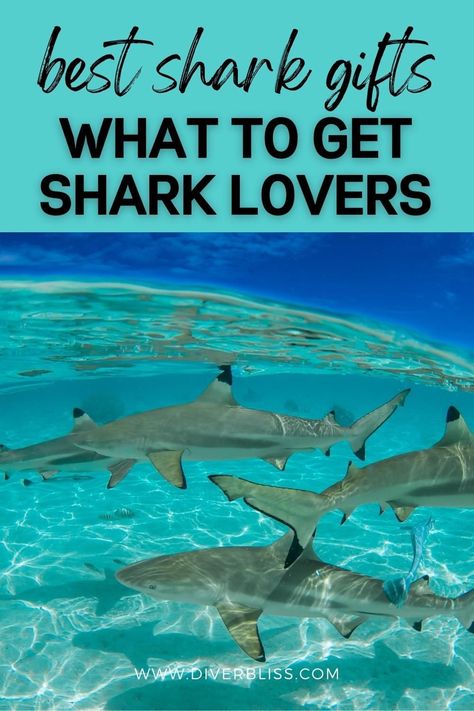 Do you love sharks or know anyone who is obsessed with them? If you’re looking for unique shark presents, then click here for the best gifts for shark lovers. From gift ideas for your home to personalized gifts, this list of shark gifts will have everything you need to make any shark lover happy. Shark Gifts For Women, Gifts For Shark Lovers, Marine Biology Gifts, Ocean Themed Gifts, Shark Presents, Shark Merchandise, Sharks In Love, Shark Gift Ideas, Baby Great White Shark