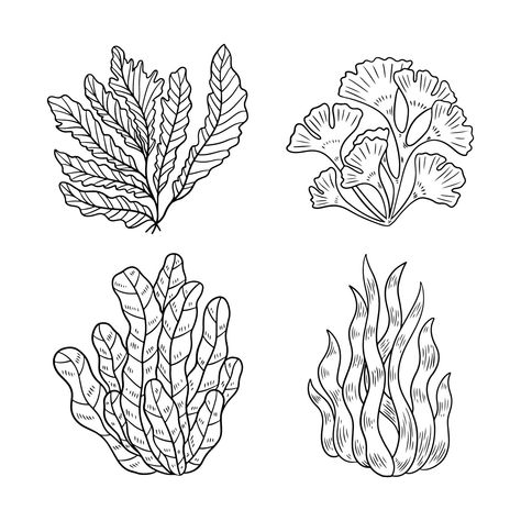 Free Vector | Hand drawn seaweed outline illustration Seaweed Hair Drawing, Seaweed Outline, Seaweed Template, Seaweed Illustration, Seaweed Hair, Hair Illustration, Lino Art, Outline Illustration, Fashion Designing